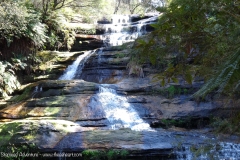 TheasHeart_Blue_MountainsAustralia_2016 TheasHeart_Blue_MountainsAustralia_2016