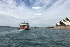 TheasHeart_Sydney_2016 TheasHeart_Sydney_2016