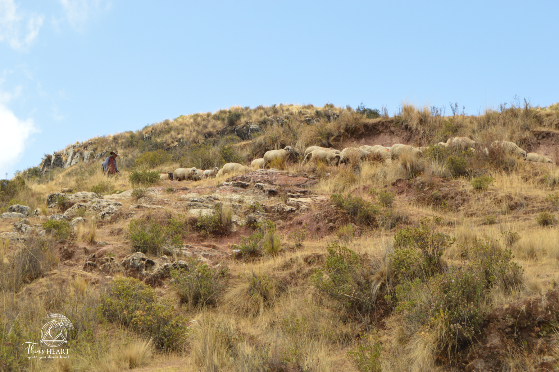 Starseed Peru Adventure - Tambomachay_Starseed Peru Adventure Starseed Peru Adventure - Tambomachay_Starseed Peru Adventure