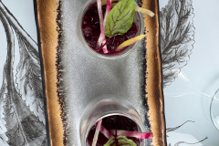 Edinburgh 2025 - Edinburgh_prearrival celebration 2025