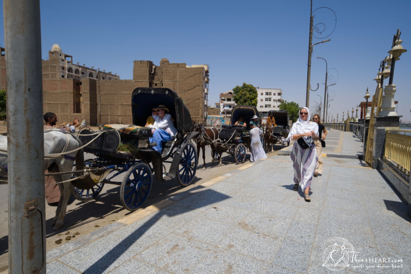 Starseed Egypt Adventure 2024 - EDFU_Starseed Egypt Adventure 2024