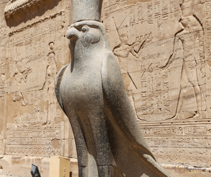 Edfu_Starseed Egypt Adventure 2024 - Edfu_Starseed Egypt Adventure 2024 (5)