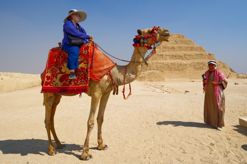 Camel-Sakarra_Starseed-Egypt-Adventure-2024