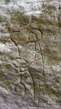TheasHeartGosford Glyphs2016  1