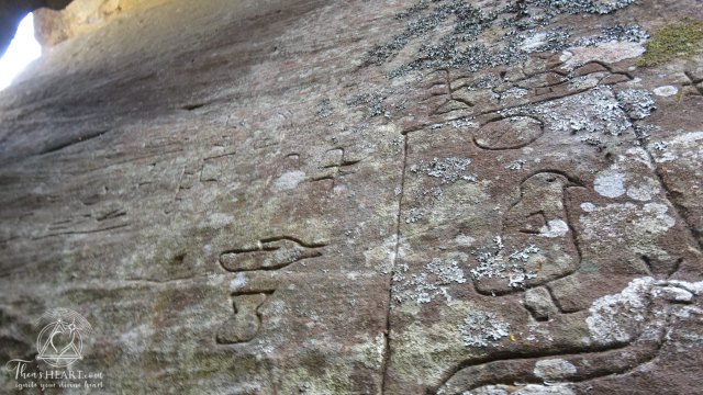 TheasheartStarseed AustraliaGosford Glyphs2016  TheasHeartGosford Glyphs2016 3