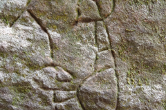 TheasHeart_Gosford Glyphs_2016 - 1 TheasHeart_Gosford Glyphs_2016 - 1