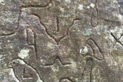 TheasHeart_GosfordGlyph2 TheasHeart_GosfordGlyph2