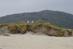 Isle of Harris - 12