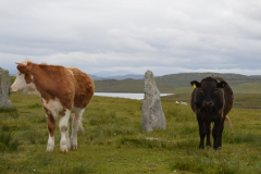 Callanish III - Callanish III (2)