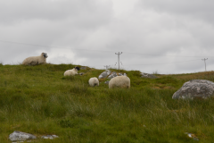 Callanish III - Callanish III (3)