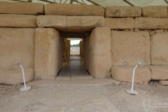 Theas_Heart_Althea_Provost_Malta-13