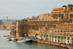 Theas_Heart_Althea_Provost_Malta-20