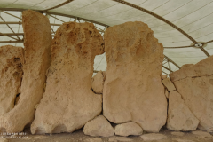 Theas_Heart_Althea_Provost_Malta-31