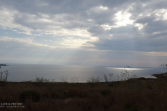 Theas_Heart_Althea_Provost_Malta-9