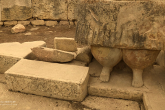 Theas_Heart_Althea_Provost_Malta_2019-16