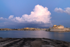 Theas_Heart_Althea_Provost_Malta_2019-19