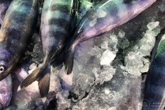 Theas_Heart_Althea_Provost_Malta_2019-39