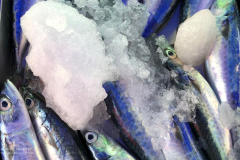 Theas_Heart_Althea_Provost_Malta_2019-40