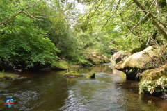 Starseed Scotland_Rosslyn - 2