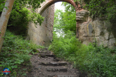 Starseed Scotland_Rosslyn - 6