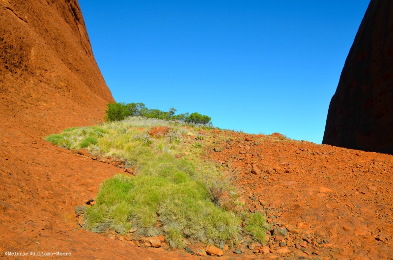 TheasHeart_Starseed-Australia2016_23