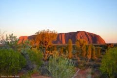 TheasHeart_Starseed-Australia2016_1