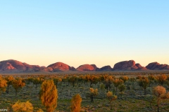 TheasHeart_Starseed-Australia2016_10