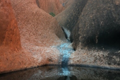 TheasHeart_Starseed-Australia2016_18