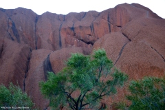 TheasHeart_Starseed-Australia2016_2