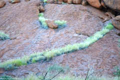 TheasHeart_Starseed-Australia2016_7