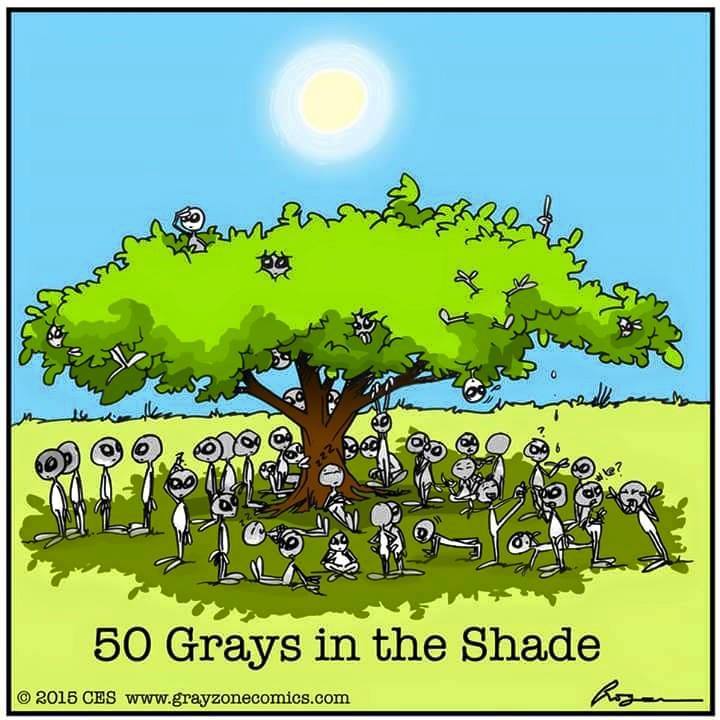 50 Grays in the Shade