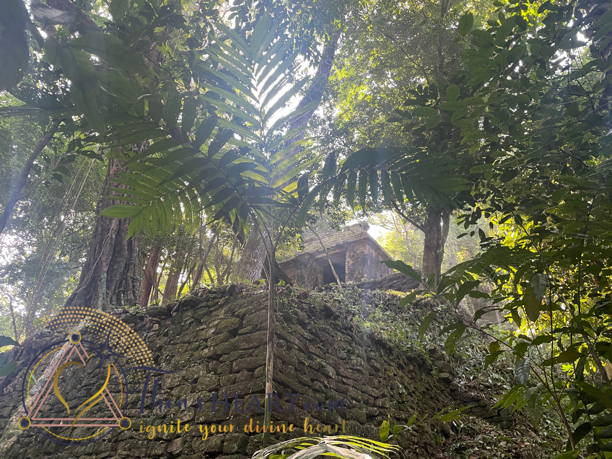Palenque — Forgotten Temple photographed by Althea Provost in the lush Palenque jungle.