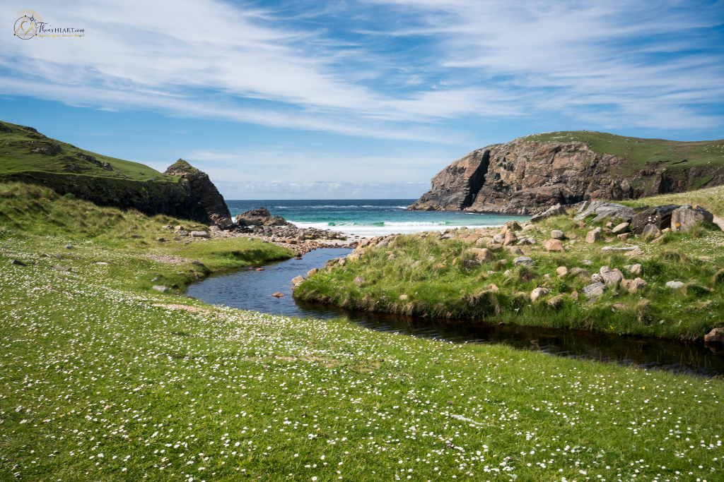Isle of Lewis landscape from the Starseed Scotland Adventure 2025, featuring wildflowers, stream, rocky hills, and ocean horizon