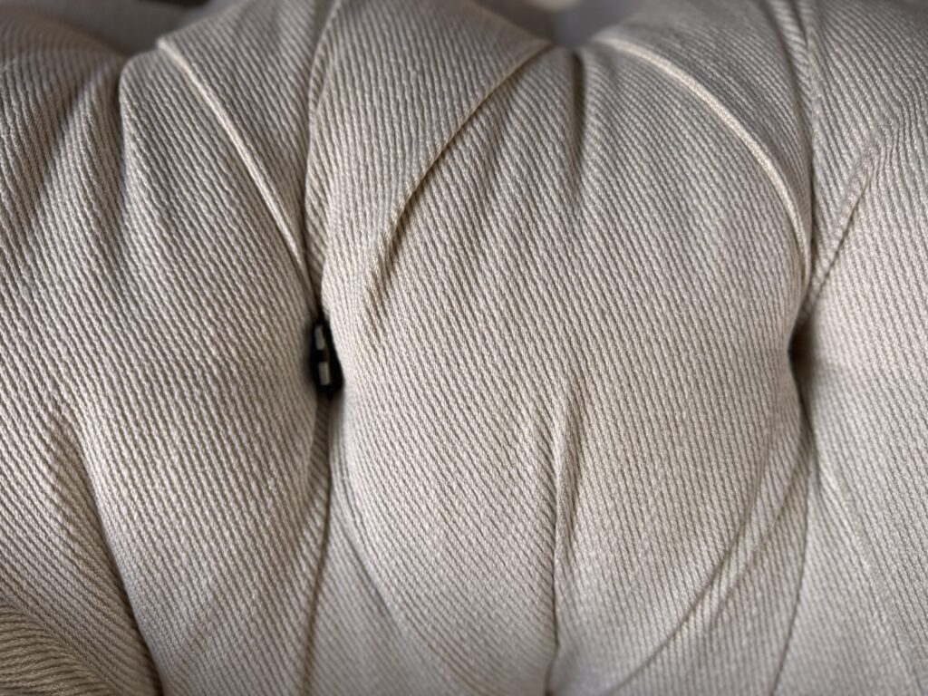 Inspector Provost examines a tufted couch where Buddy the cat hid a puzzle piece during Case File #002.