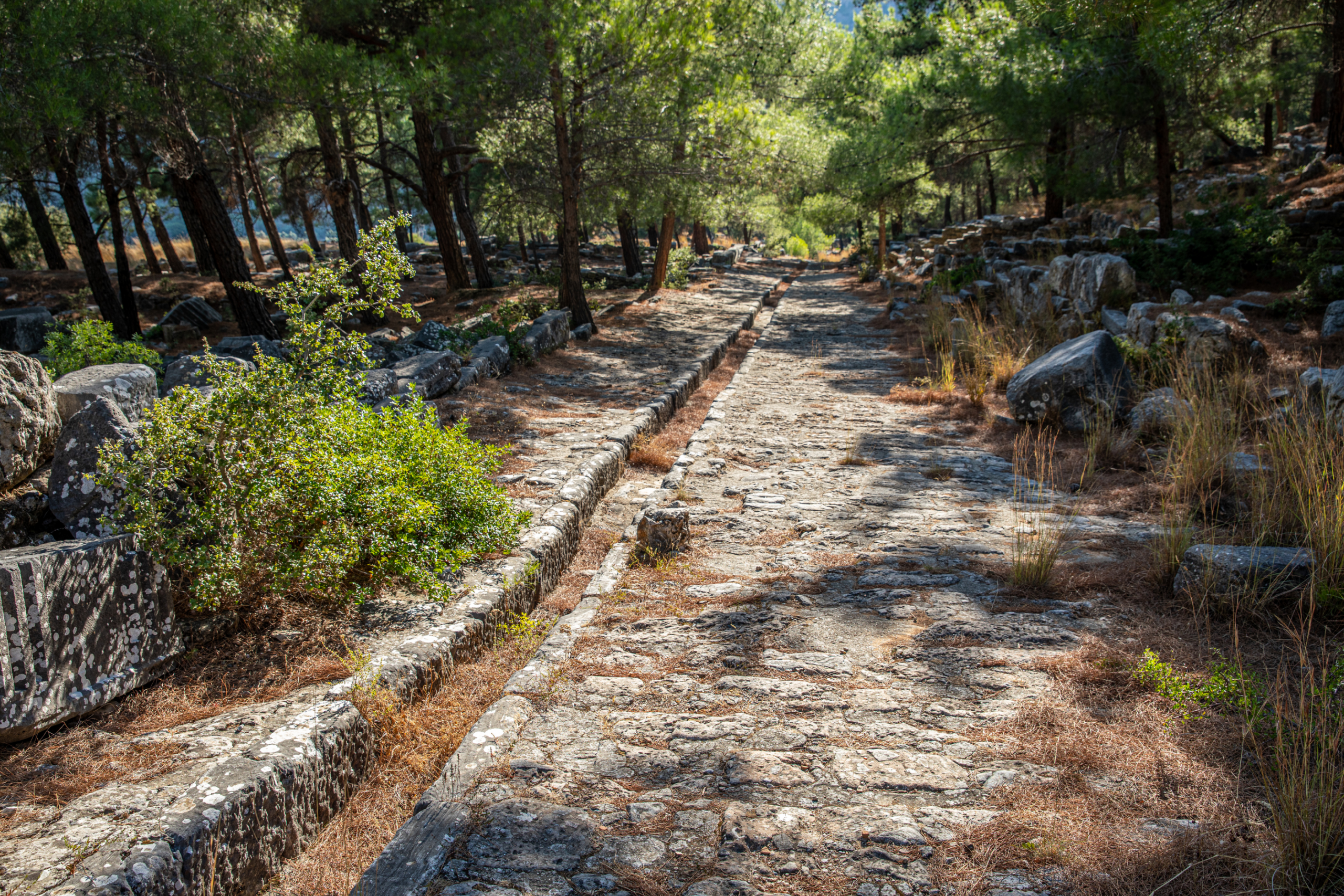 Entrance path to ancient Priene, photographed for the Starseed Türkiye Adventure with Althea Provost.