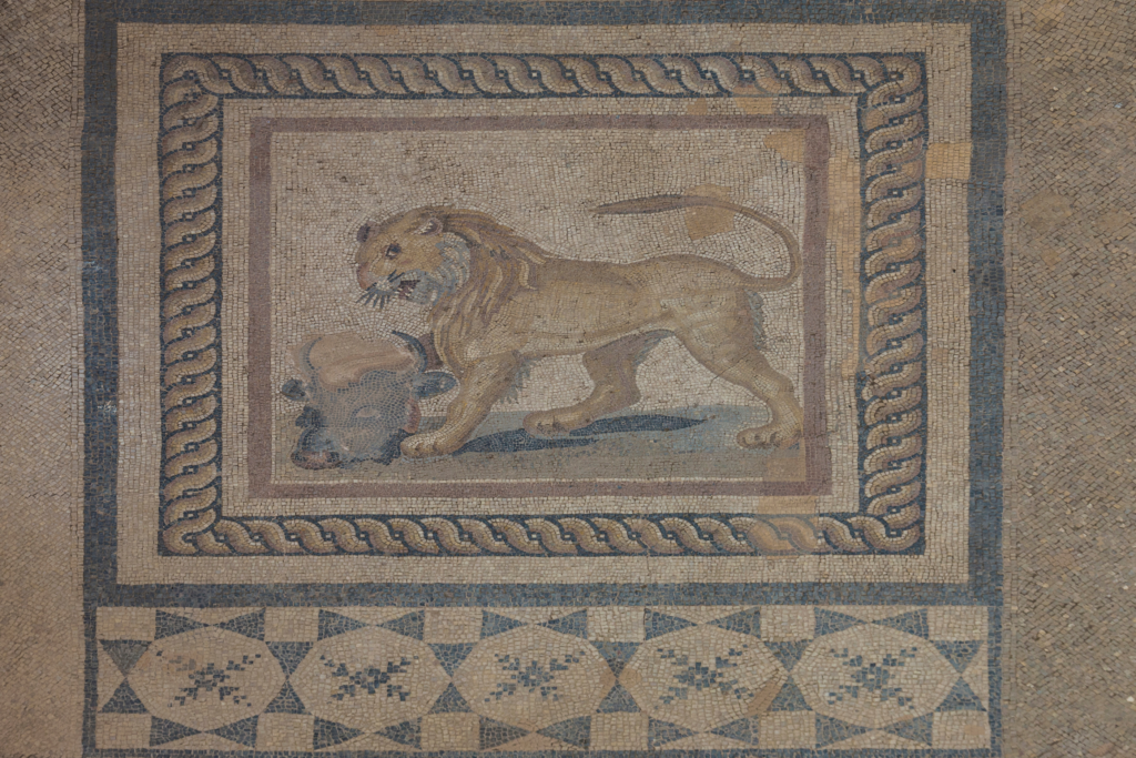 Ancient mosaic of a lion and bull viewed during the Starseed Türkiye Adventure with Althea Provost, showcasing Aegean artistry and symbolism.