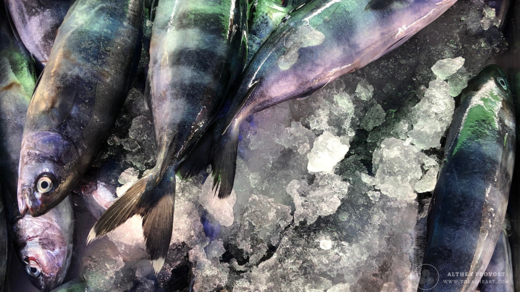 Starseed Malta Adventure 2019 Photo Gallery fresh fish displayed on crushed ice at the Marsaxlokk Sunday Market.