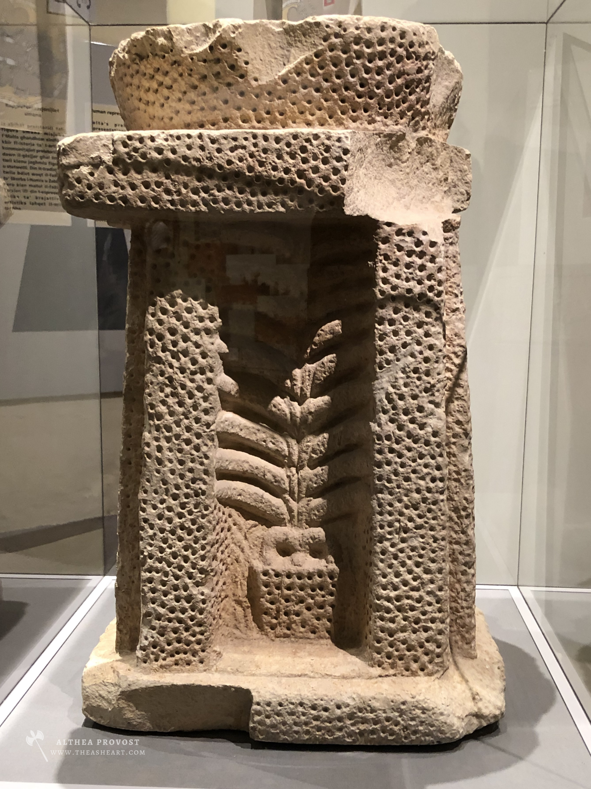 Stretched Beyond Human Proportion — A Hagar Qim altar dated 3600–2500 BC, photographed by Althea Provost during the 2019 Starseed Malta Adventure inside the National Museum of Archaeology in Valletta.