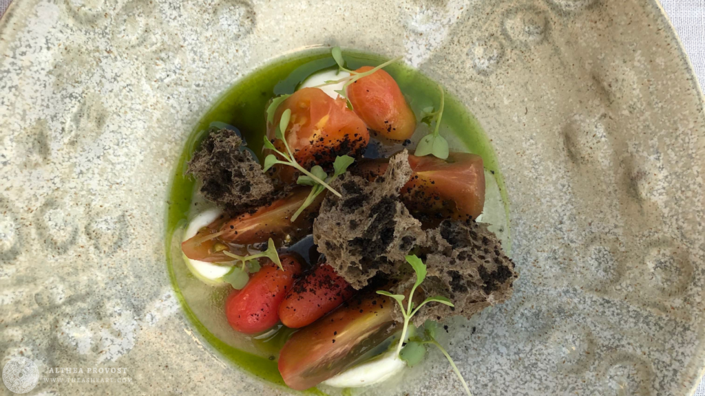 Starseed Malta Adventure 2019 Photo Gallery. Heirloom tomato dish with cream, herbs, and artisan garnishes.