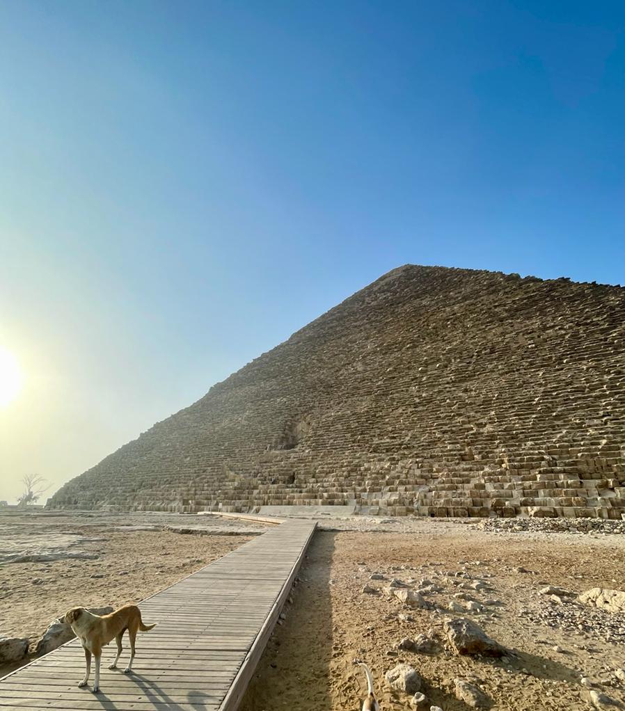 Chevron‑Shaped Structure during Starseed Egypt Adventure 2022 with Althea Provost, seen at sunrise on the Autumn Equinox with a dog standing on the wooden walkway leading toward the Great Pyramid