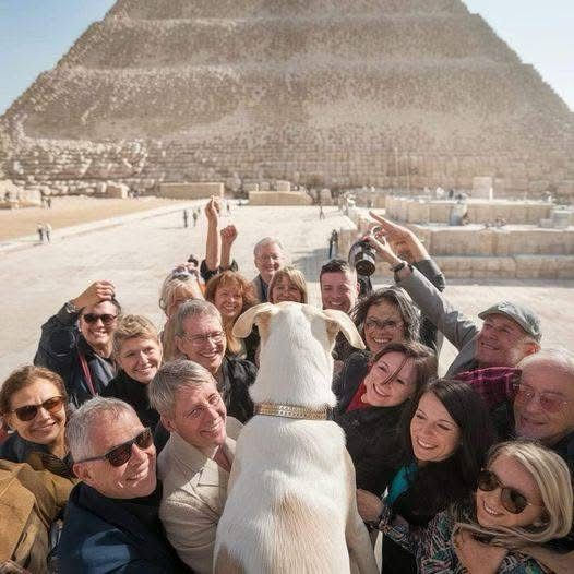 Boka the dog stands before a Giza Pyramid, surrounded by a group of smiling travelers who have gathered around him like fans, 2024.
