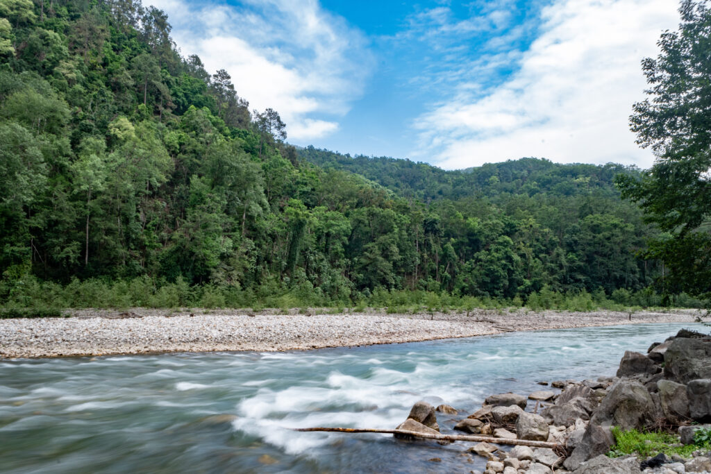 A collage of Bhutan’s landscapes, prayer flags, wildlife, monasteries, markets, and cultural textiles.