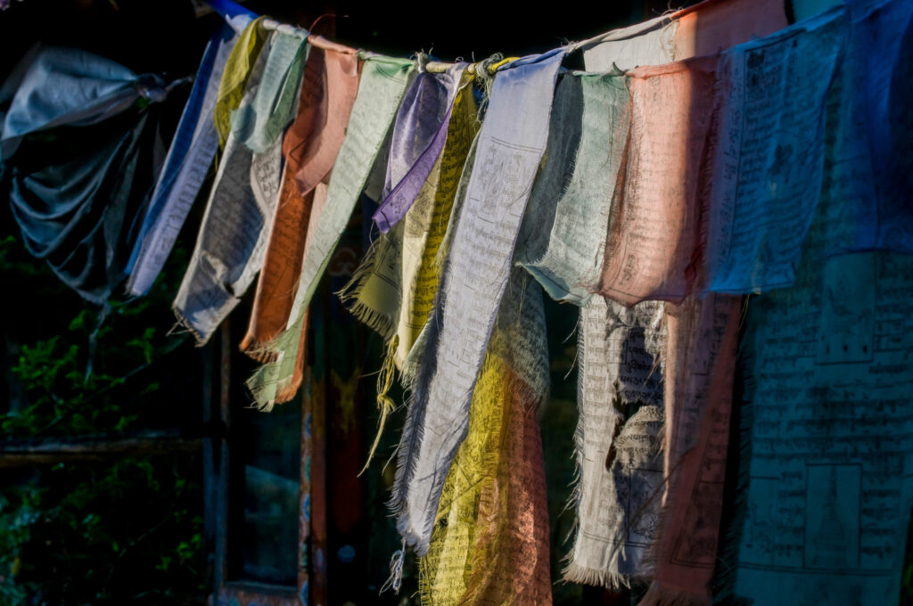 A collage of Bhutan’s landscapes, prayer flags, wildlife, monasteries, markets, and cultural textiles.